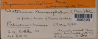 Image Associated With the Occurence